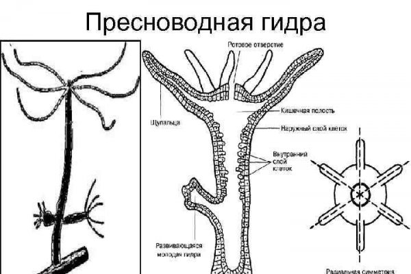 Кракен площадка что это