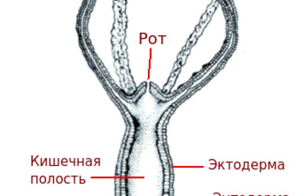 Кракен запрещен