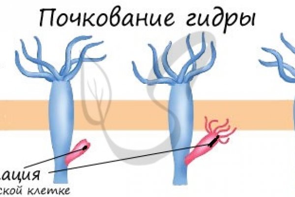 Kraken shop ссылка