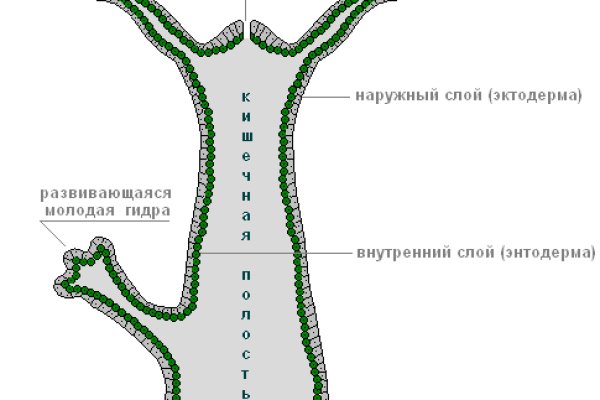 Kraken новая ссылка